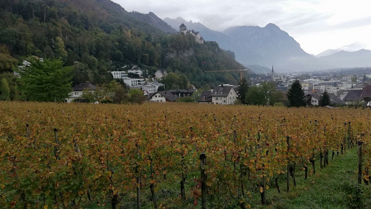 Pogled na mesto Vaduz in grad