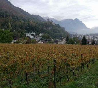 Pogled na mesto Vaduz in grad