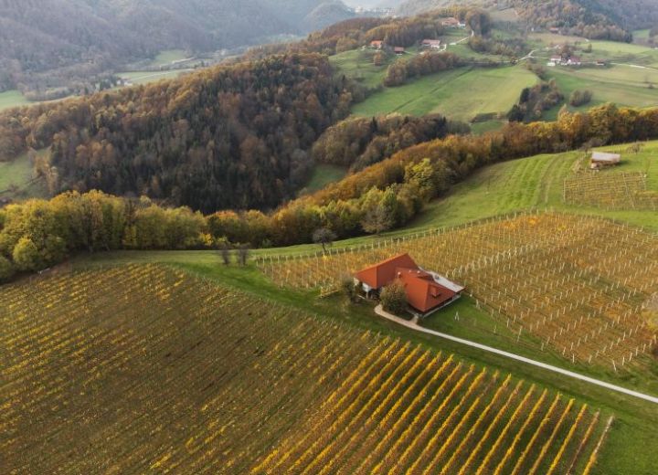 PIT-Piršev izletniški turizem