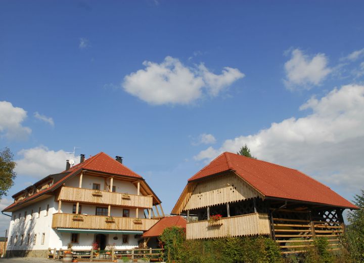 DOMAČIJA NOVAK