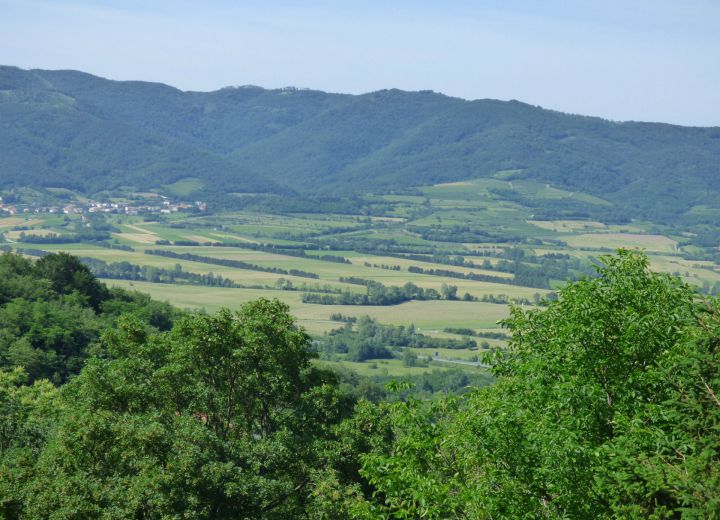 FERJANČIČ
