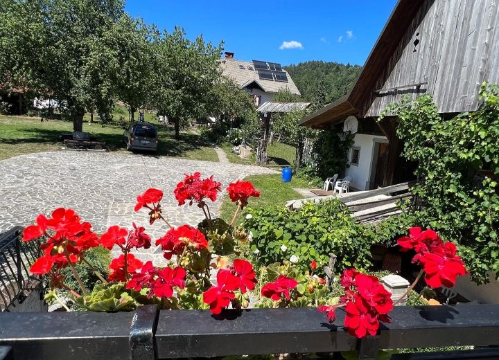 FRČEJ