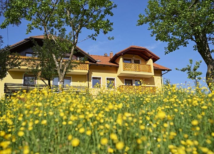 GRADIŠNIK (Jamnica)