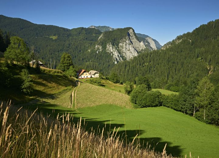 GRADIŠNIK