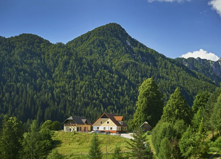 GRADIŠNIK