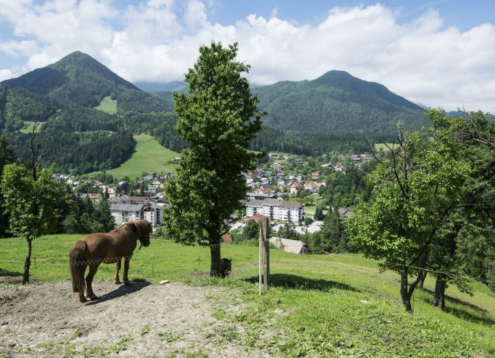 KAJŽAR