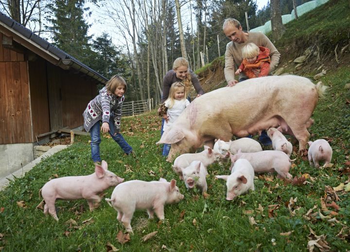 KLADJE