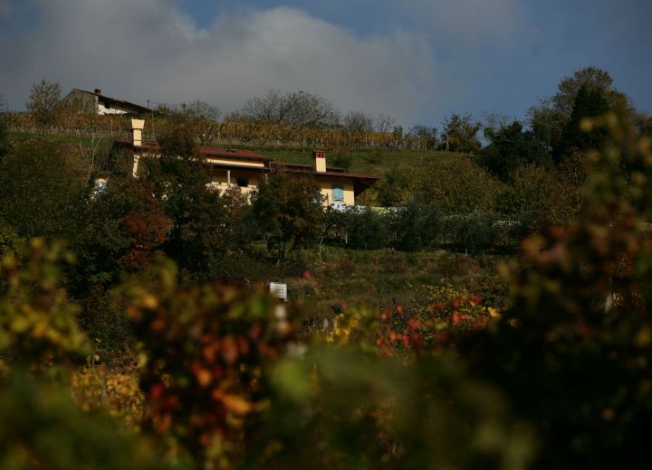 FATTORIA ŠTEKAR 