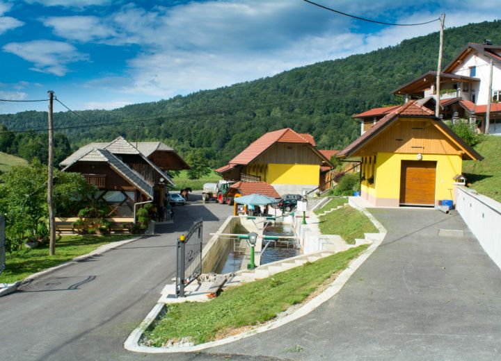 MLINAR