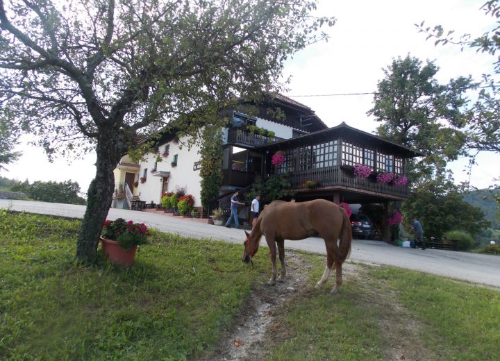 NA HRIBČKU