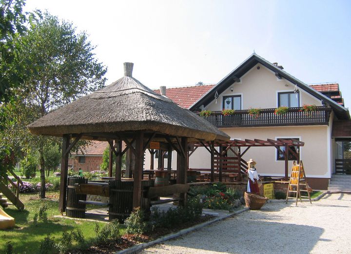 NA KONCU VASI