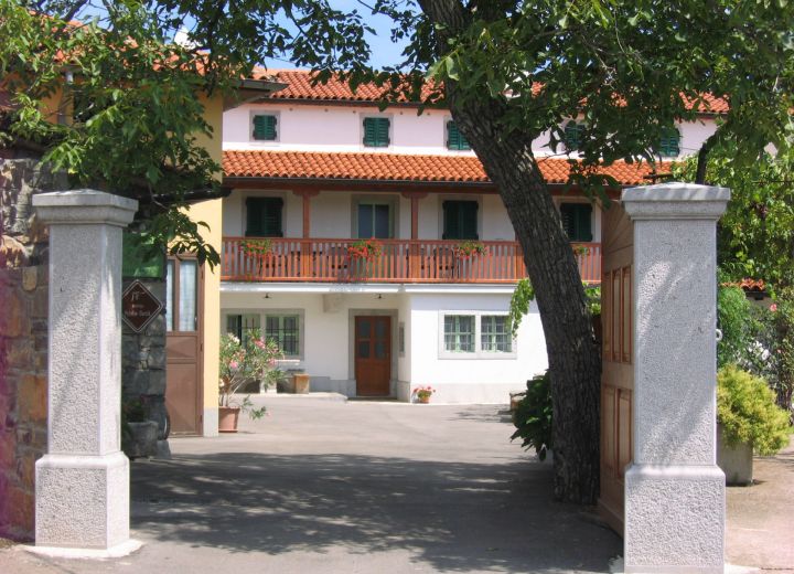 PETELIN - DURCIK
