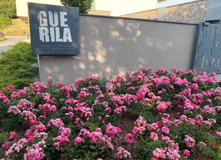 Guerila wines