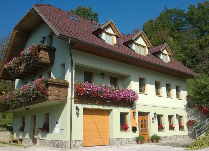 Pr' Ostan'k - Apartmaji Hribar