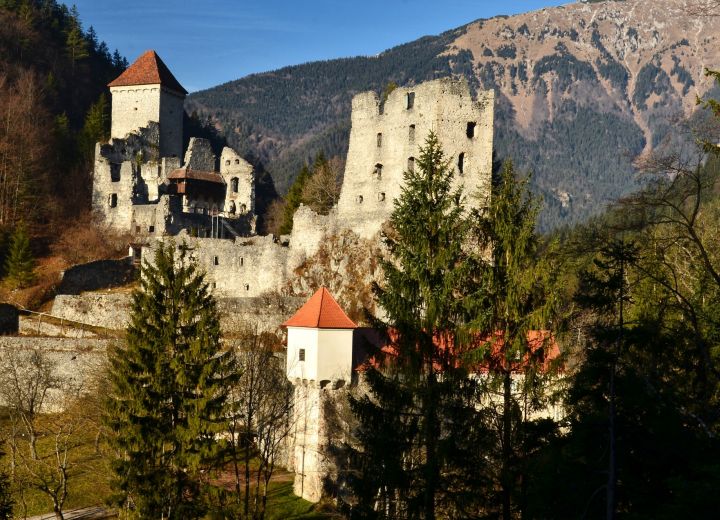 Slovenian Traditional Guest House