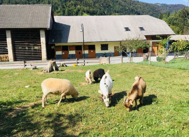 PRI BOŠTJANOVCU