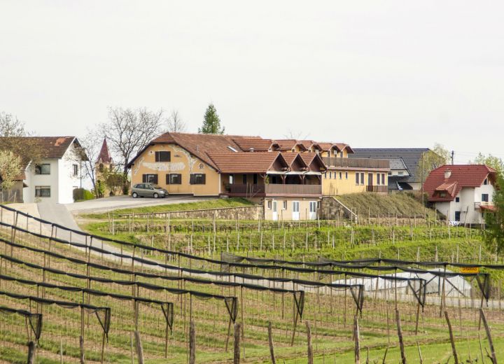 PRI KAPELI (Veršič - Druzovič)