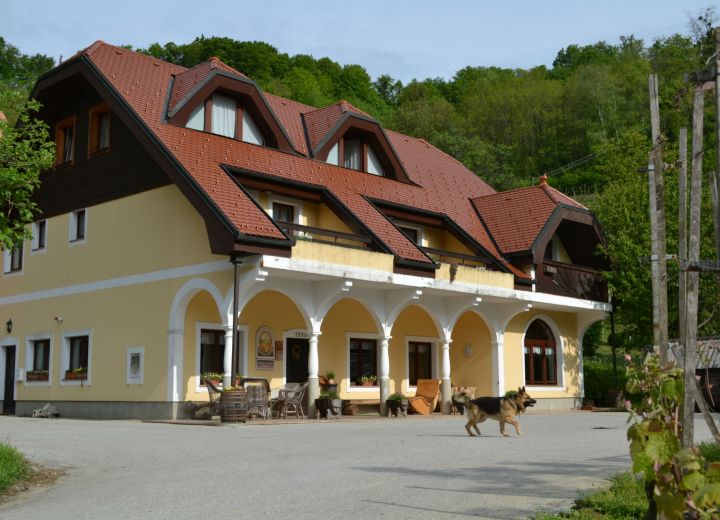 PUDVOI