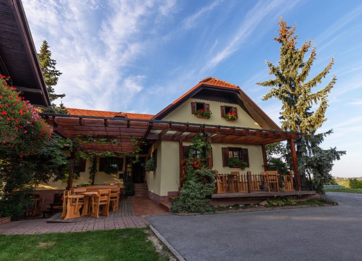 Vinogradništvo Pungračič