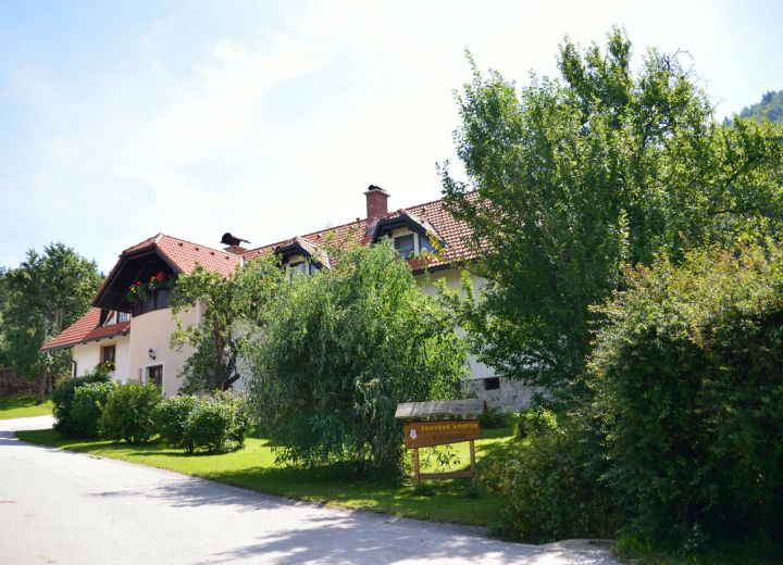 RAVNJAK