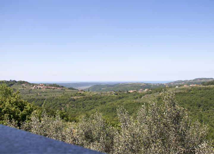 ROBIVERA