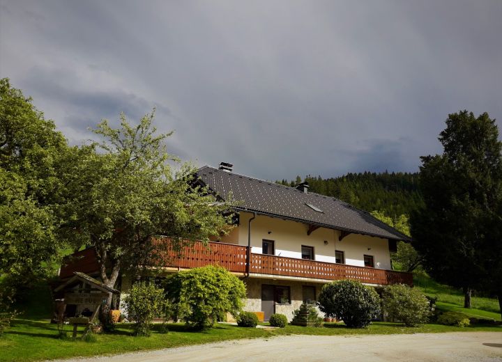 DOMAČIJA METUL