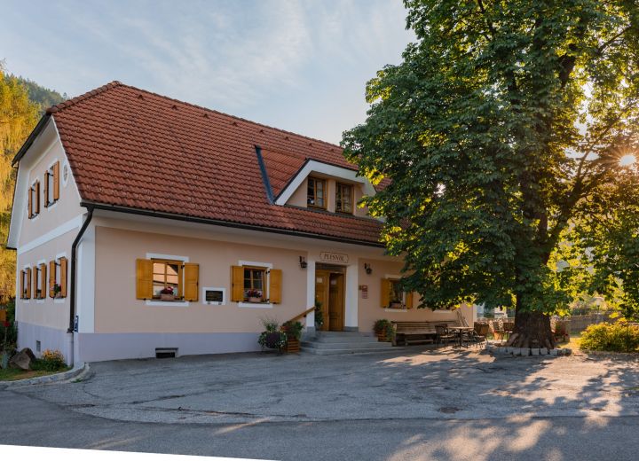 ROTOVNIK - PLESNIK
