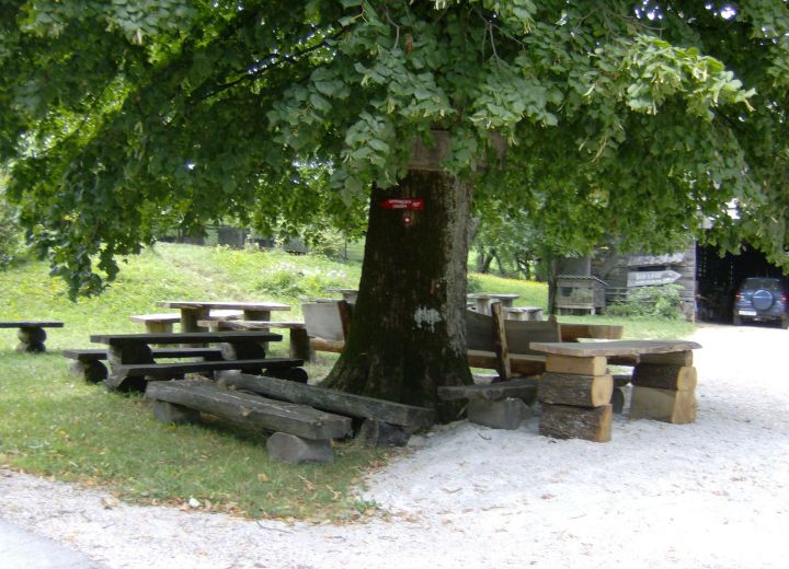 ŠINKOVC