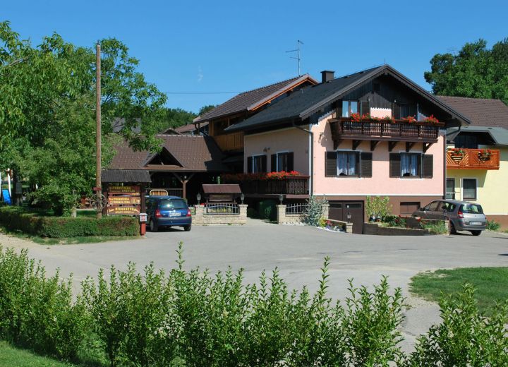 SONJA OZMEC ŠEBEKOVA DOMAČIJA