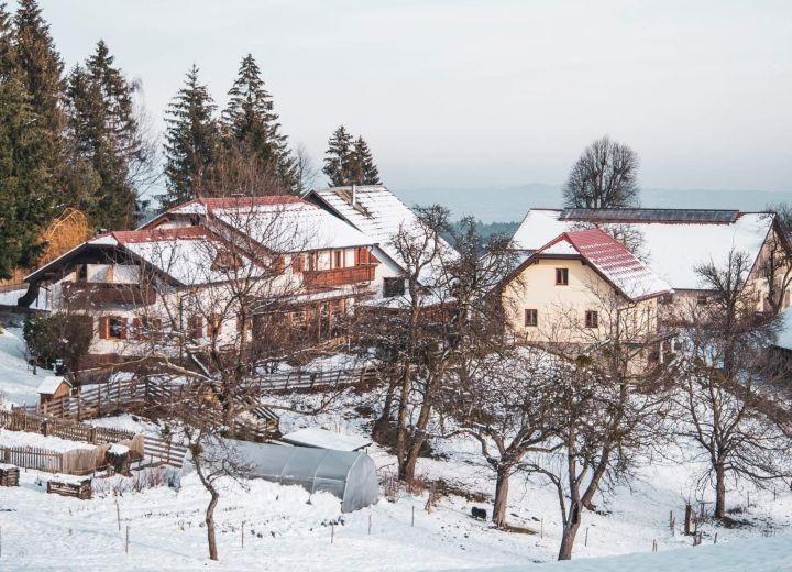 DOMAČIJA KOVAČNIK