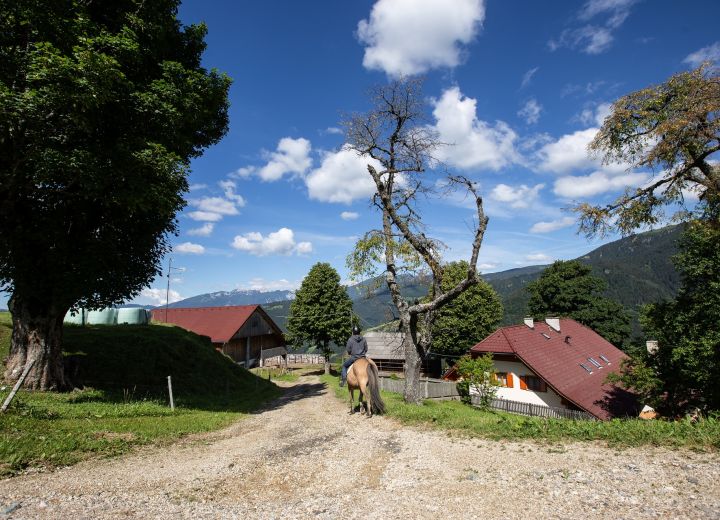 VISOČNIK