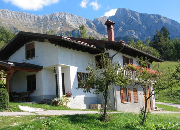ŽVANČ
