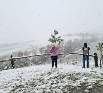 Razgled s kmetije Frešer na Ritoznoju po zasneženih vinogradih