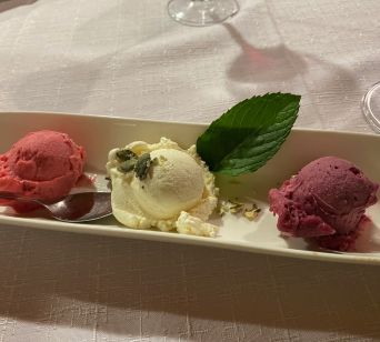 Za sladico so nam postregli odlični hišni sladoled treh okusov. Brez besed!