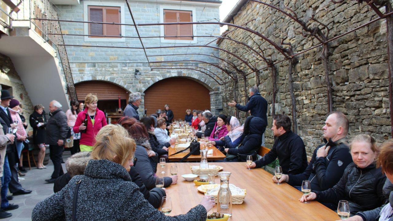 Degustacija vin na vinogradniški kmetiji Bržan v Marezigah