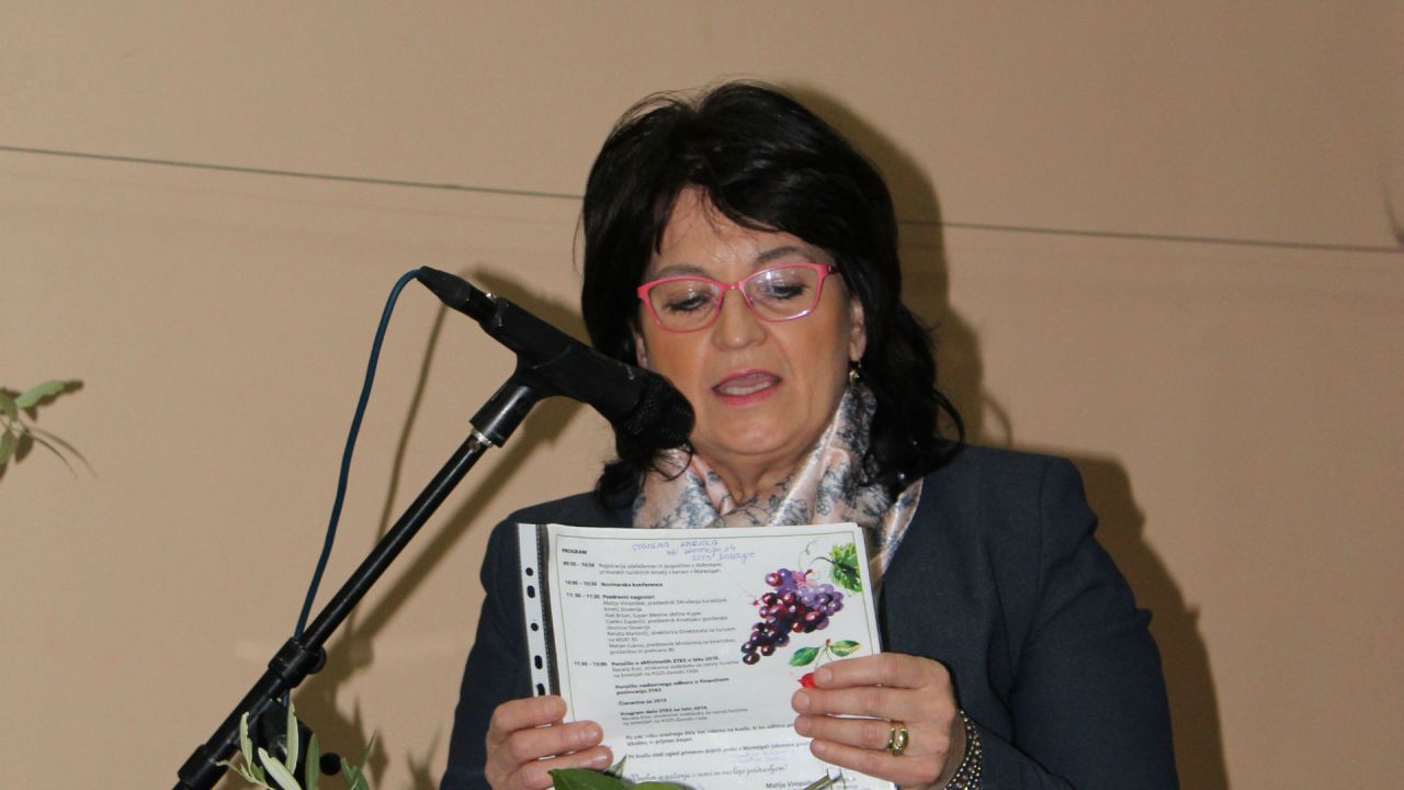 Poročilo predsednice nadzornega odbora  Slavice Grobelnik