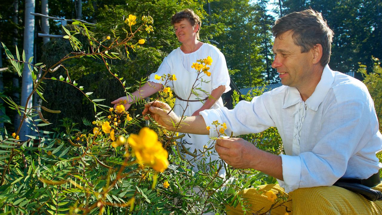 Zeliščna kmetija Kalan